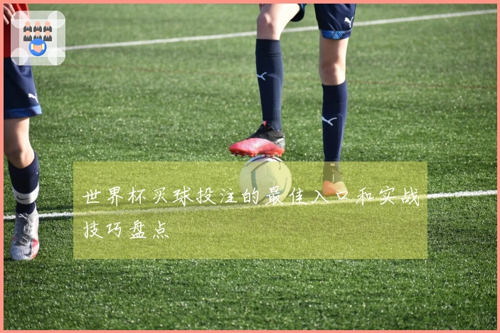世界杯买球投注的最佳入口和实战技巧盘点