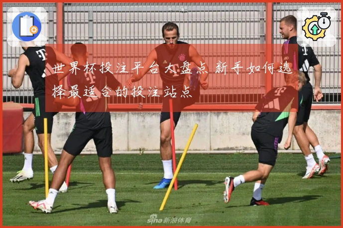 世界杯投注平台大盘点 新手如何选择最适合的投注站点