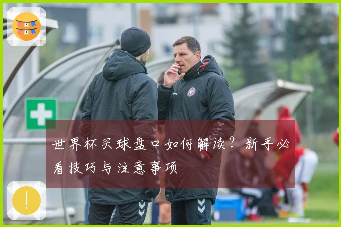 世界杯买球盘口如何解读？新手必看技巧与注意事项