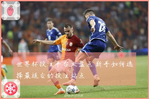 世界杯投注平台大盘点 新手如何选择最适合的投注站点
