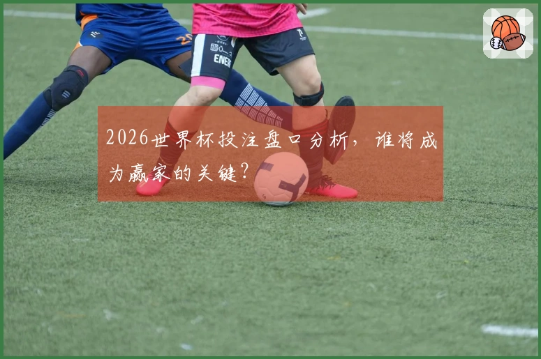 2026世界杯投注盘口分析，谁将成为赢家的关键？