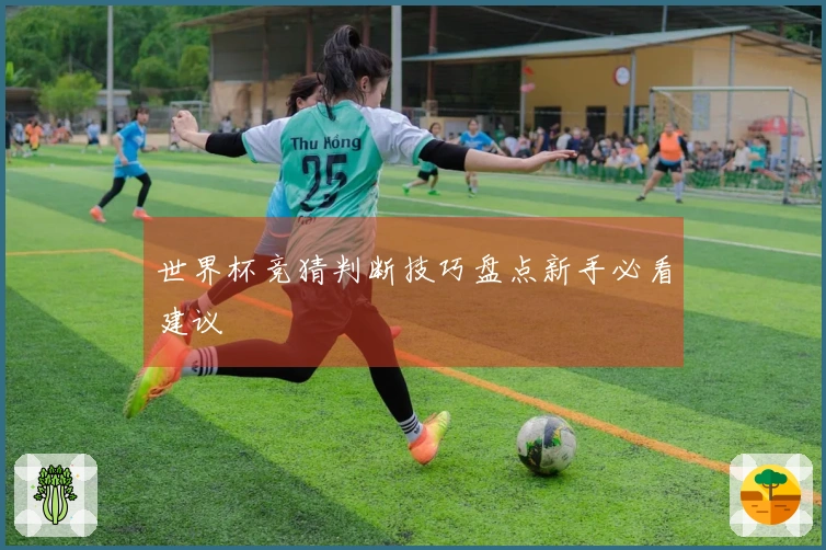 世界杯竞猜判断技巧盘点新手必看建议