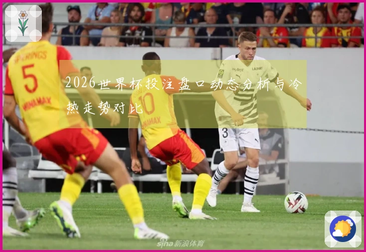 2026世界杯投注盘口动态分析与冷热走势对比