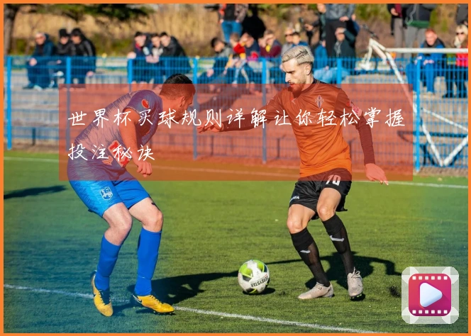 世界杯买球规则详解让你轻松掌握投注秘诀