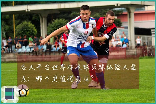 各大平台世界杯滚球买球体验大盘点：哪个更值得关注？