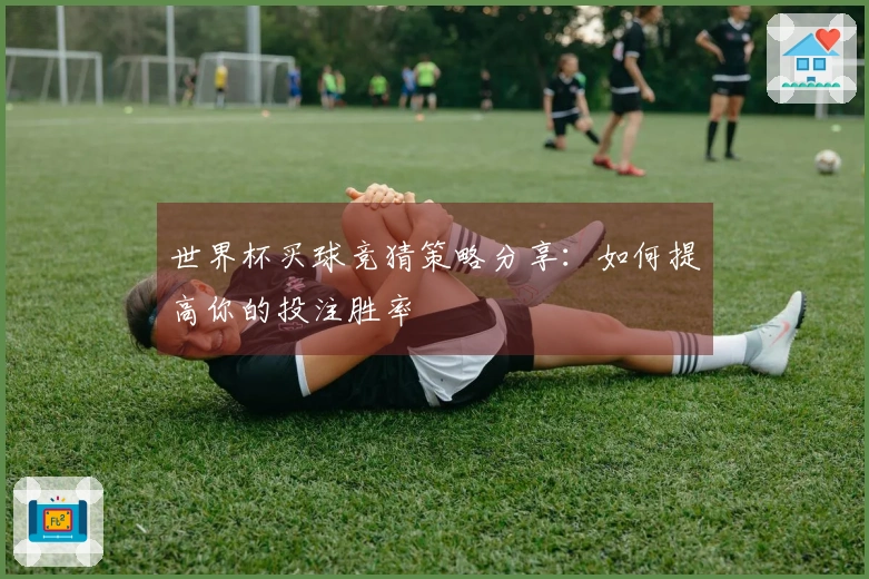 世界杯买球竞猜策略分享：如何提高你的投注胜率