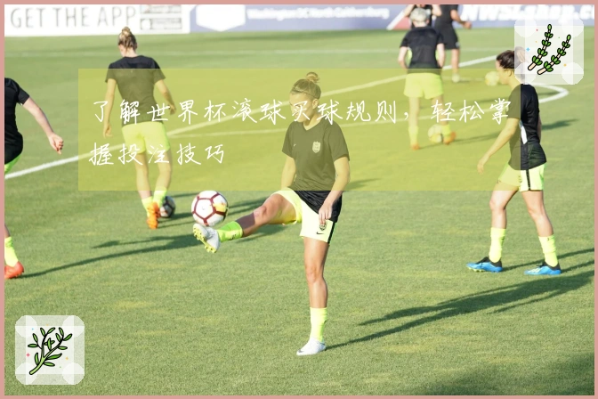 了解世界杯滚球买球规则，轻松掌握投注技巧