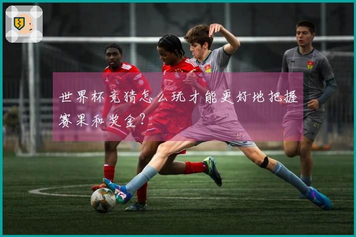 世界杯竞猜怎么玩才能更好地把握赛果和奖金？