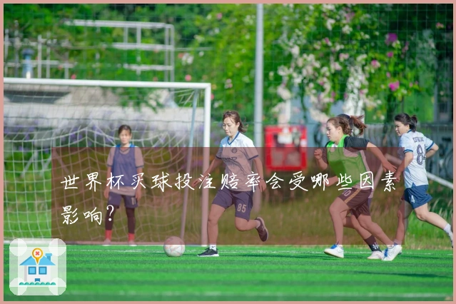 世界杯买球投注赔率会受哪些因素影响？