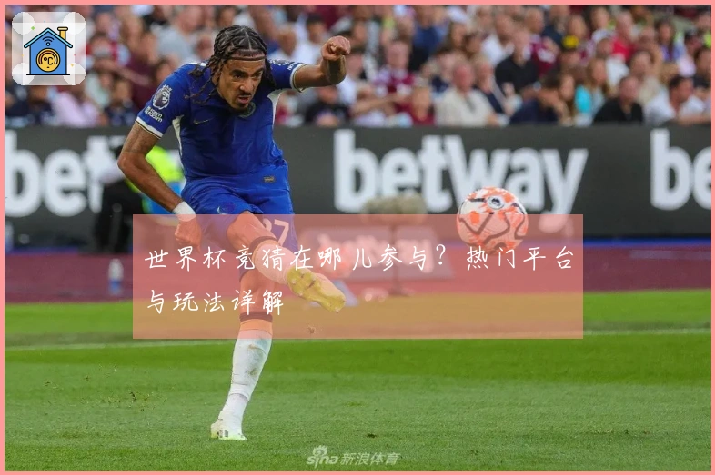 世界杯竞猜在哪儿参与？热门平台与玩法详解